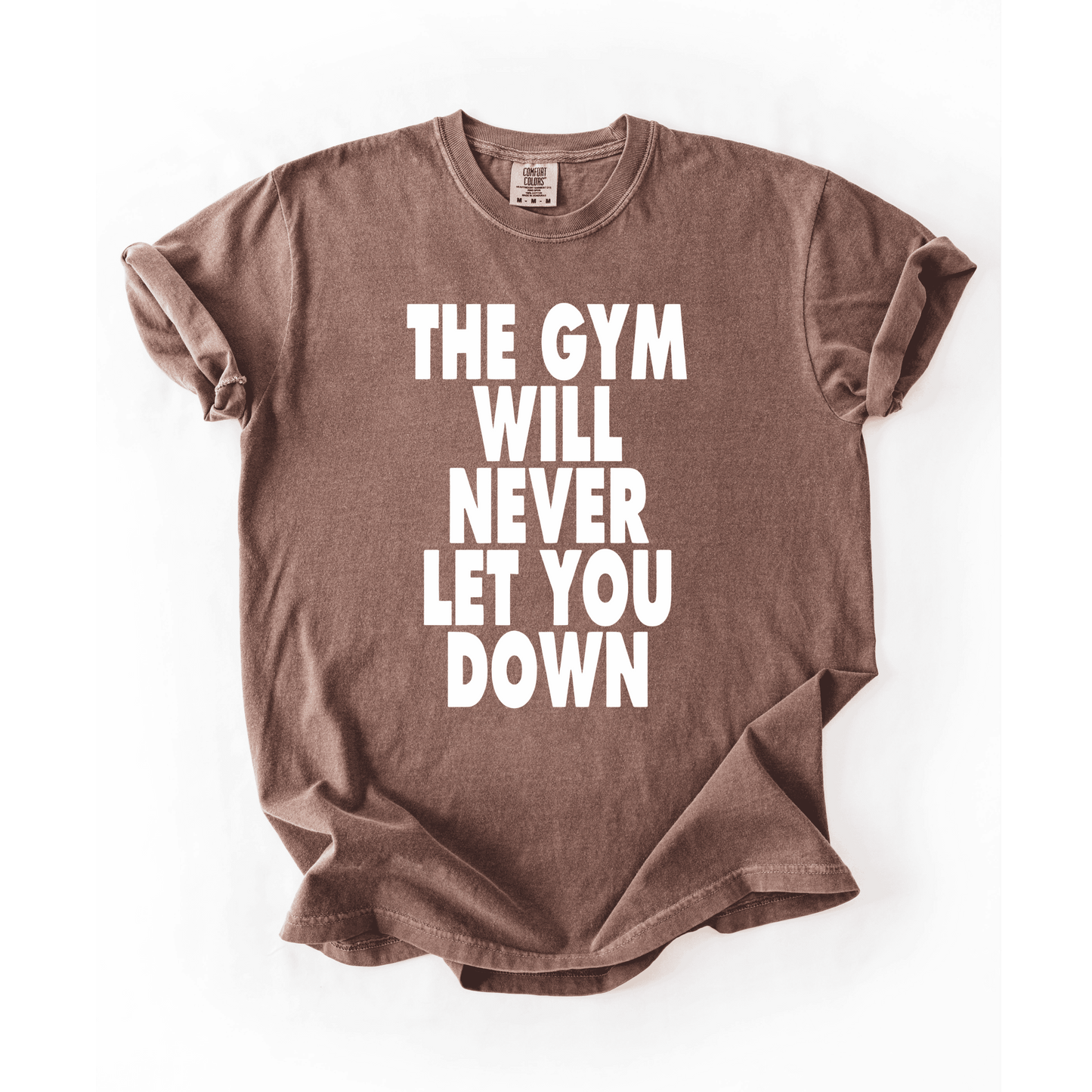 The Gym Will Never Let You Down T-Shirt