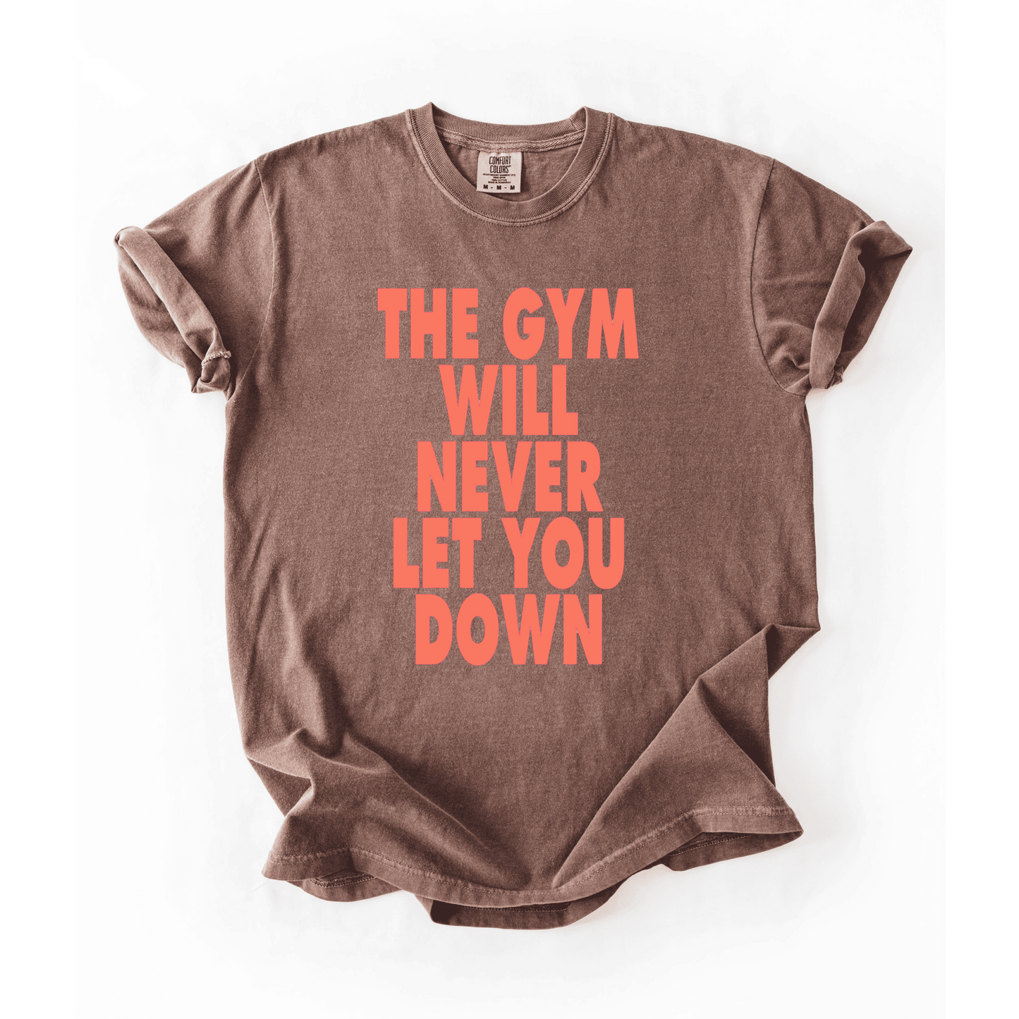 The Gym Will Never Let You Down T-Shirt