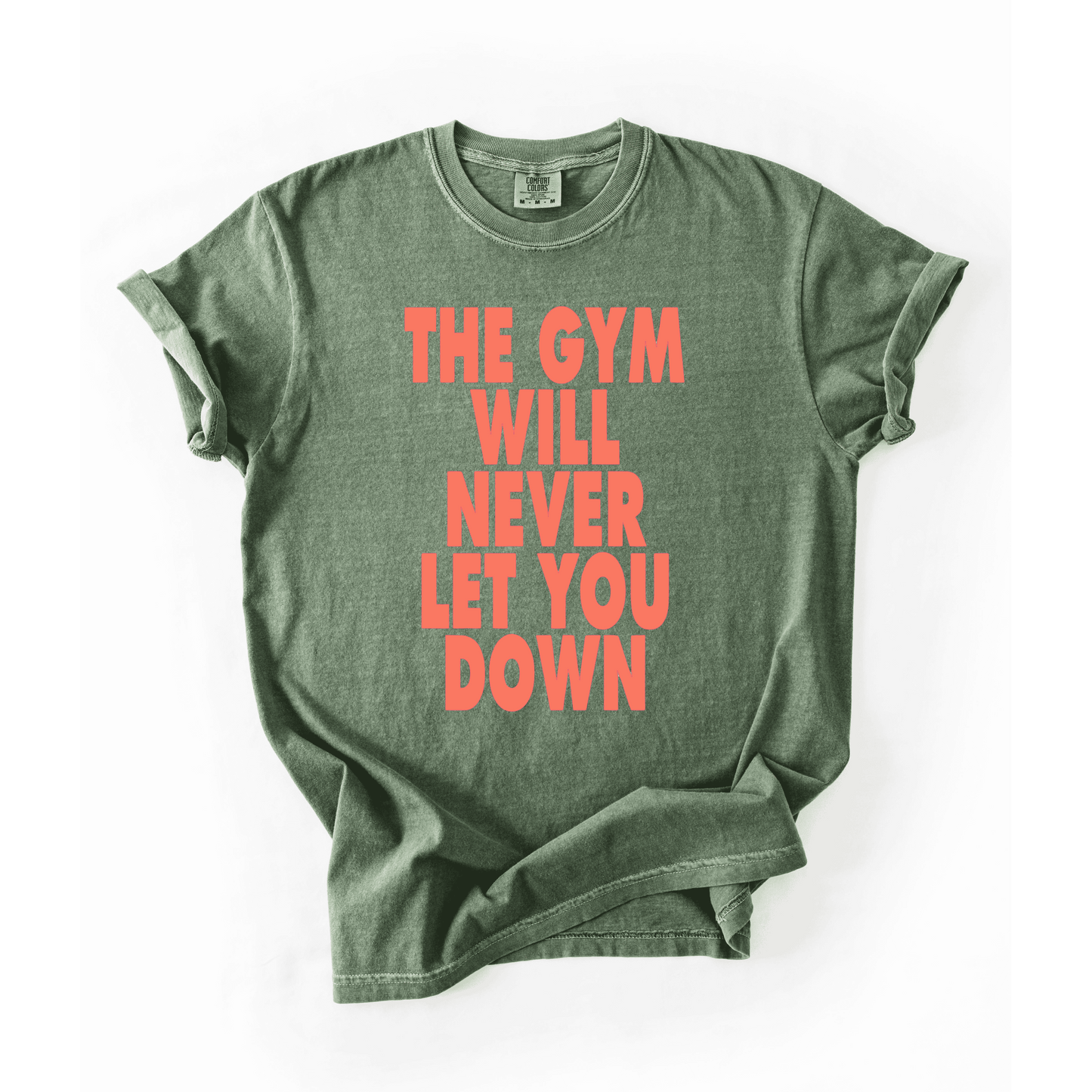 The Gym Will Never Let You Down T-Shirt