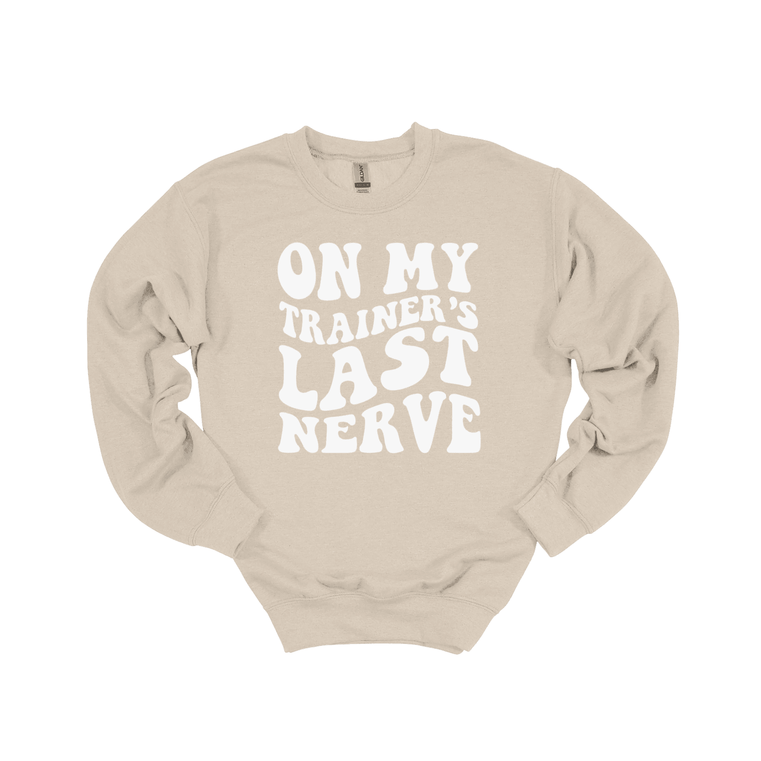 On My Trainer’s Last Nerve Sweatshirt