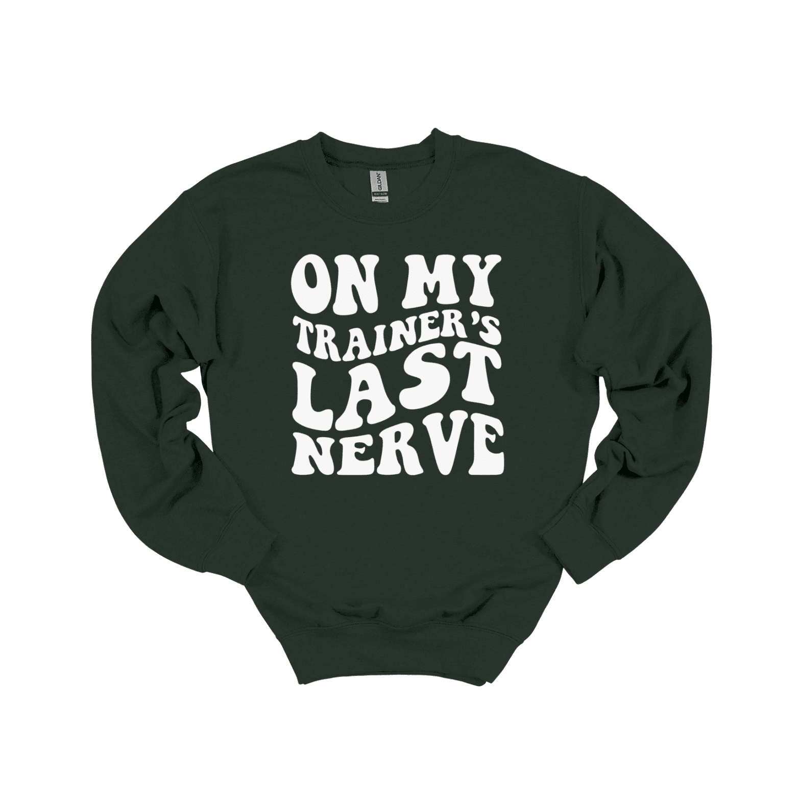 On My Trainer’s Last Nerve Sweatshirt