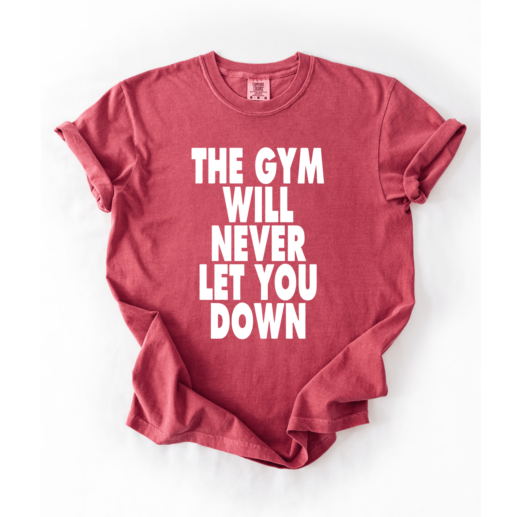 The Gym Will Never Let You Down T-Shirt - LEGDAY EVERYDAY