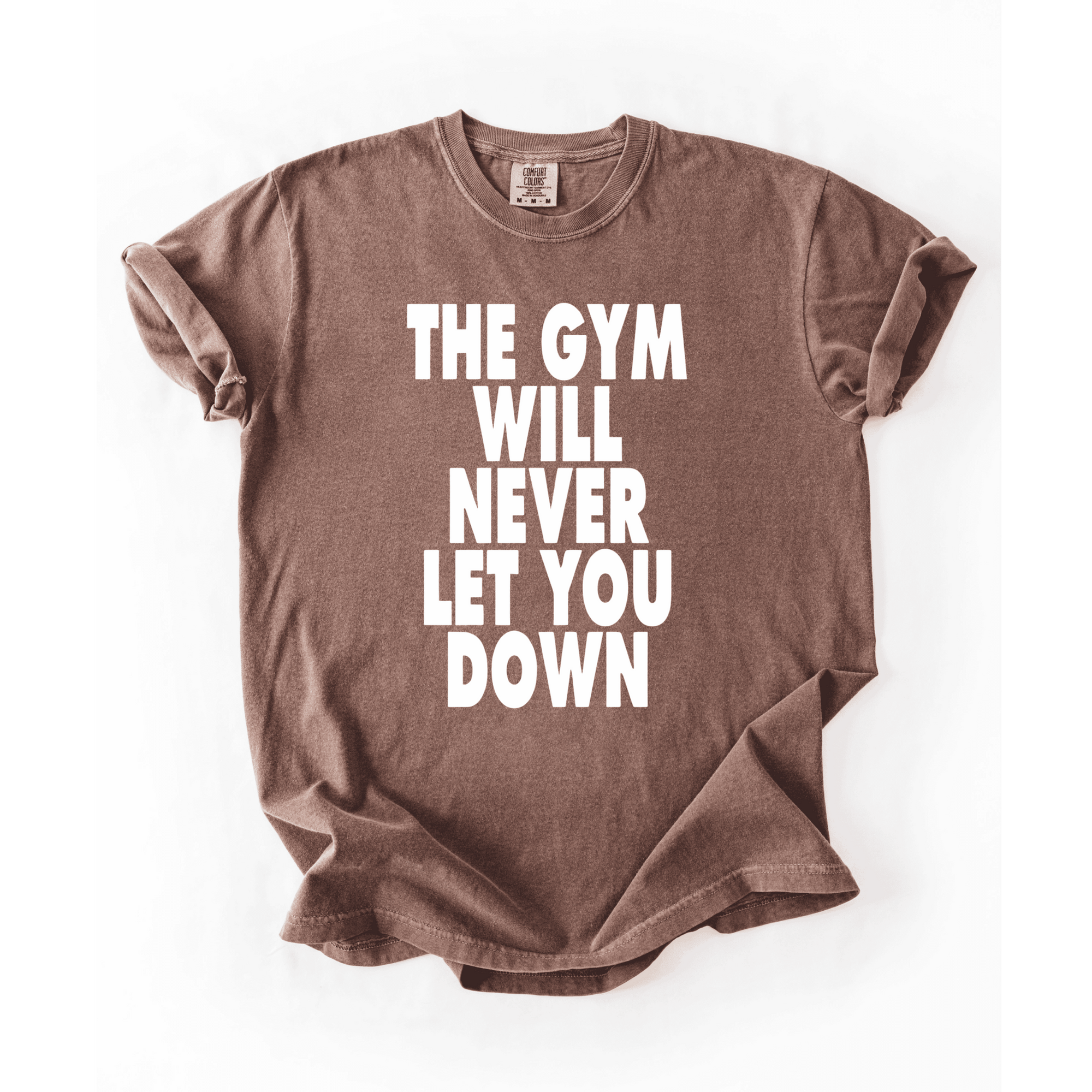 The Gym Will Never Let You Down T-Shirt - LEGDAY EVERYDAY