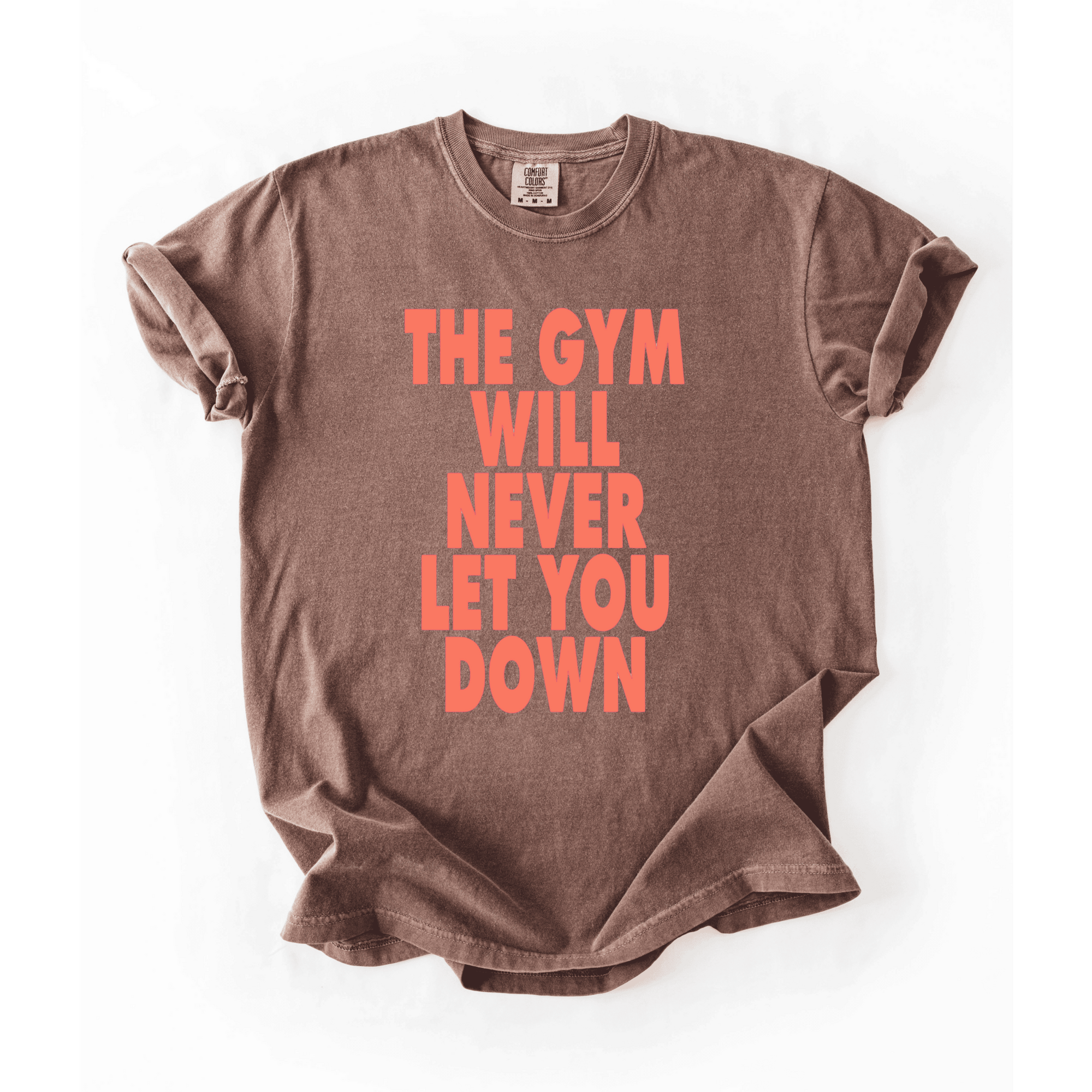 The Gym Will Never Let You Down T-Shirt - LEGDAY EVERYDAY
