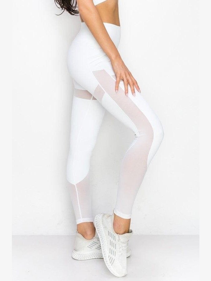 Contour Mesh Active Leggings - LEGDAY EVERYDAY